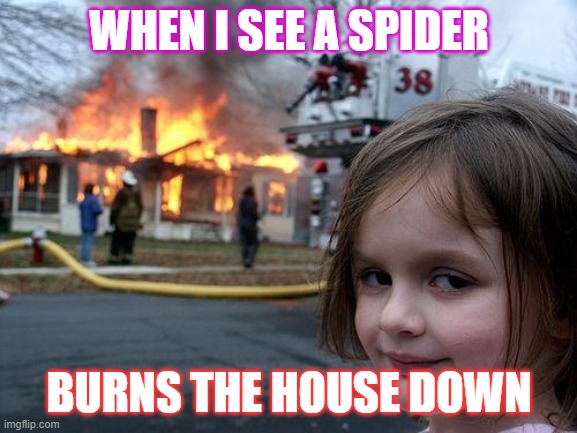 Disaster Girl | WHEN I SEE A SPIDER; BURNS THE HOUSE DOWN | image tagged in memes,disaster girl | made w/ Imgflip meme maker