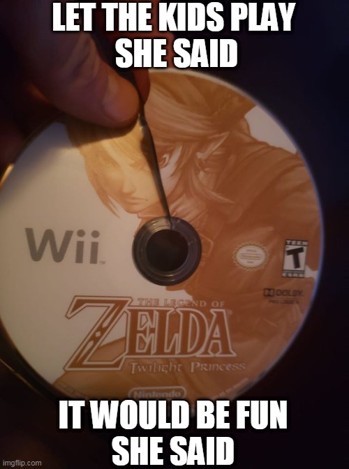 THEY ARE NOT TOUCHING MY SWITCH | LET THE KIDS PLAY 
SHE SAID; IT WOULD BE FUN
SHE SAID | image tagged in the legend of zelda,wii,fail,kids | made w/ Imgflip meme maker