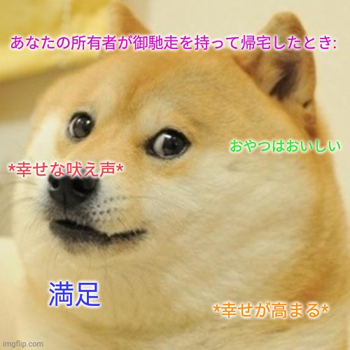 Doge | あなたの所有者が御馳走を持って帰宅したとき:; おやつはおいしい; *幸せな吠え声*; 満足; *幸せが高まる* | image tagged in memes,doge | made w/ Imgflip meme maker