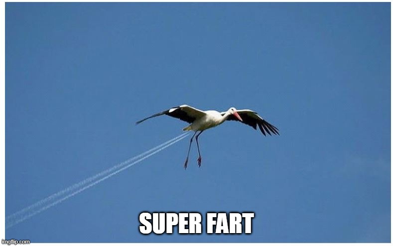 . | SUPER FART | image tagged in fart,birds | made w/ Imgflip meme maker