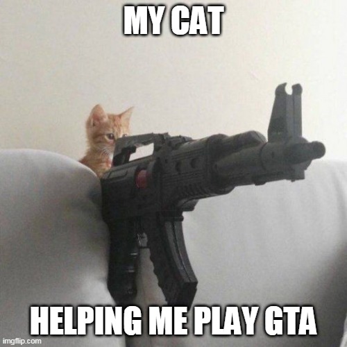 GTA CAT | MY CAT; HELPING ME PLAY GTA | image tagged in cats,funny cats,kitten | made w/ Imgflip meme maker