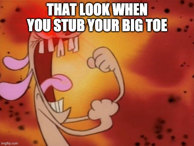 Ren and Stimpy "I'm so angry!" | THAT LOOK WHEN YOU STUB YOUR BIG TOE | image tagged in ren and stimpy i'm so angry | made w/ Imgflip meme maker