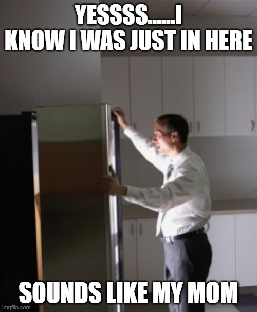 Just here | YESSSS......I KNOW I WAS JUST IN HERE; SOUNDS LIKE MY MOM | image tagged in fridge stare,lockdown,quarantine,bored | made w/ Imgflip meme maker