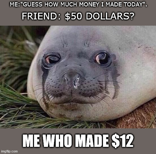 Sad Seal | ME:"GUESS HOW MUCH MONEY I MADE TODAY". FRIEND: $50 DOLLARS? ME WHO MADE $12 | image tagged in sad seal | made w/ Imgflip meme maker