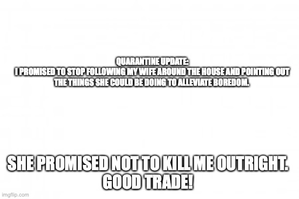 Blank background | QUARANTINE UPDATE:
I PROMISED TO STOP FOLLOWING MY WIFE AROUND THE HOUSE AND POINTING OUT THE THINGS SHE COULD BE DOING TO ALLEVIATE BOREDOM. SHE PROMISED NOT TO KILL ME OUTRIGHT. 

GOOD TRADE! | image tagged in blank background | made w/ Imgflip meme maker