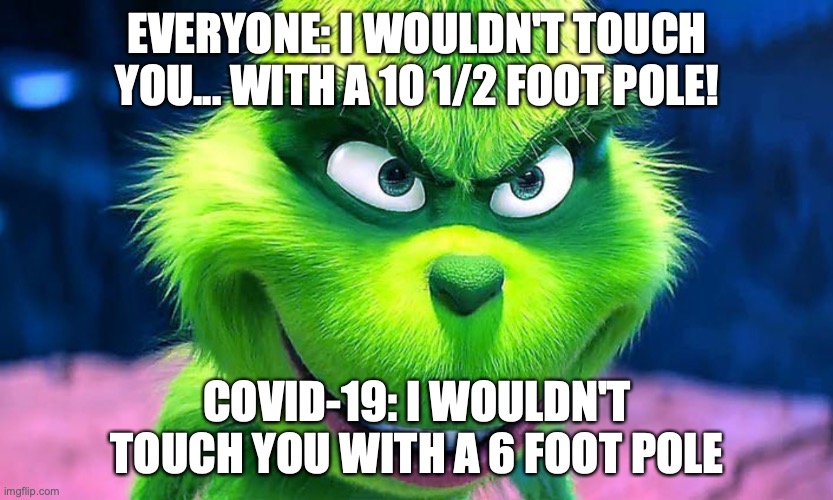 The Grinch | EVERYONE: I WOULDN'T TOUCH YOU... WITH A 10 1/2 FOOT POLE! COVID-19: I WOULDN'T TOUCH YOU WITH A 6 FOOT POLE | image tagged in grinch,covid-19 | made w/ Imgflip meme maker