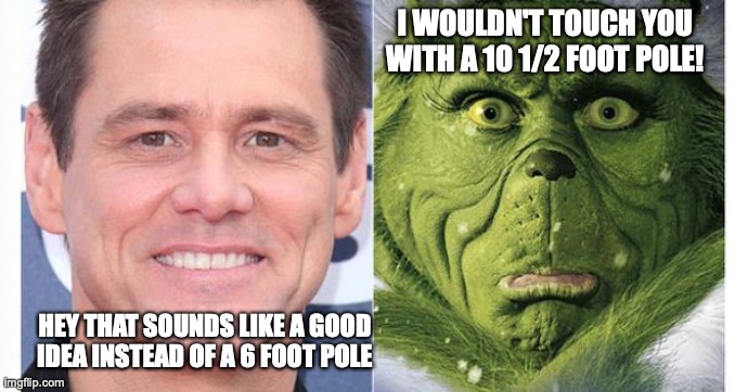 The Grinch vs A Med Professional | I WOULDN'T TOUCH YOU WITH A 10 1/2 FOOT POLE! HEY THAT SOUNDS LIKE A GOOD IDEA INSTEAD OF A 6 FOOT POLE | image tagged in the grinch,covid-19 | made w/ Imgflip meme maker