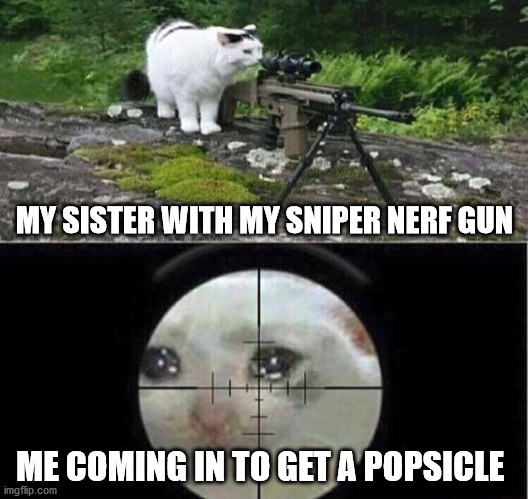 Sniper cat aim crying cat | MY SISTER WITH MY SNIPER NERF GUN; ME COMING IN TO GET A POPSICLE | image tagged in sniper cat aim crying cat | made w/ Imgflip meme maker