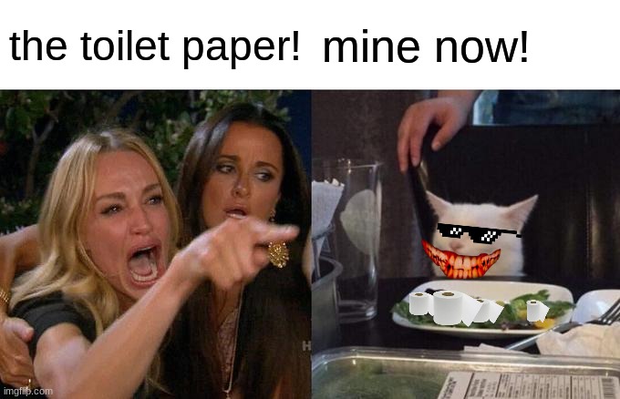 cat steals toilet paper | the toilet paper! mine now! | image tagged in memes,woman yelling at cat | made w/ Imgflip meme maker