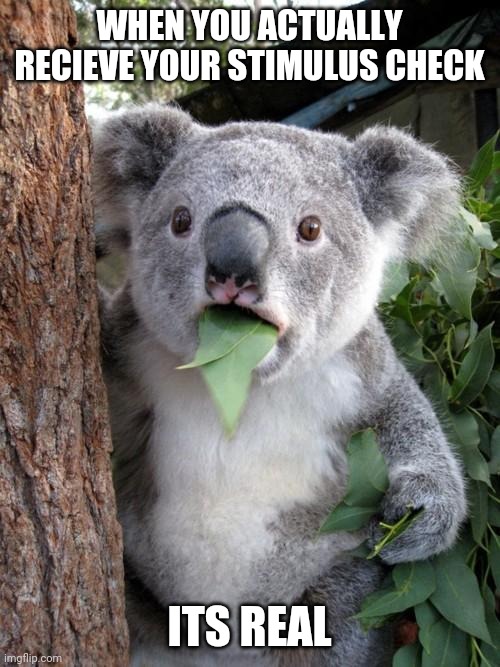 Surprised Koala Meme | WHEN YOU ACTUALLY RECIEVE YOUR STIMULUS CHECK; ITS REAL | image tagged in memes,surprised koala | made w/ Imgflip meme maker