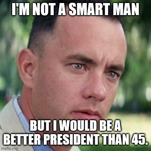 forrest gump i'm not a smart man | I'M NOT A SMART MAN; BUT I WOULD BE A BETTER PRESIDENT THAN 45. | image tagged in forrest gump i'm not a smart man | made w/ Imgflip meme maker