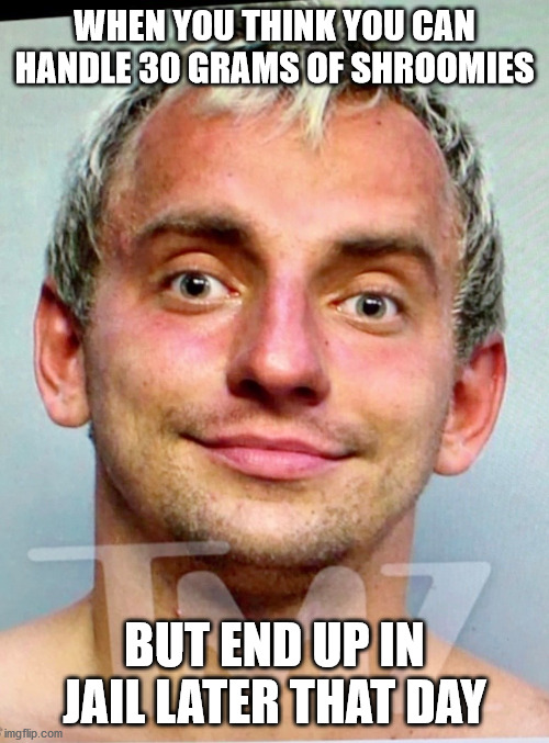 Vitaly's downfall? | WHEN YOU THINK YOU CAN HANDLE 30 GRAMS OF SHROOMIES; BUT END UP IN JAIL LATER THAT DAY | image tagged in funny,funny memes,youtuber,memes | made w/ Imgflip meme maker