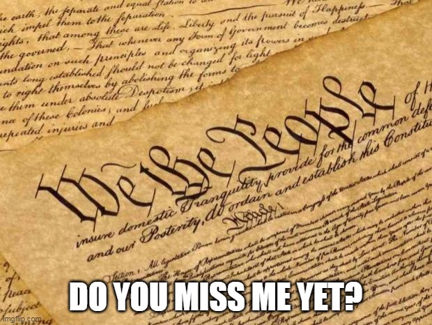 Constitution | DO YOU MISS ME YET? | image tagged in constitution | made w/ Imgflip meme maker