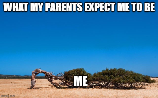 WHAT MY PARENTS EXPECT ME TO BE; ME | image tagged in memes | made w/ Imgflip meme maker