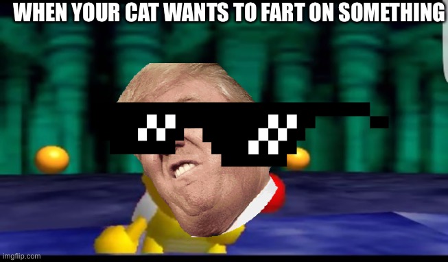 Scared Koopa 2.0 | WHEN YOUR CAT WANTS TO FART ON SOMETHING | image tagged in scared koopa 20 | made w/ Imgflip meme maker