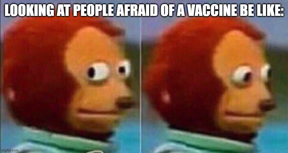 Monkey looking away | LOOKING AT PEOPLE AFRAID OF A VACCINE BE LIKE: | image tagged in monkey looking away | made w/ Imgflip meme maker