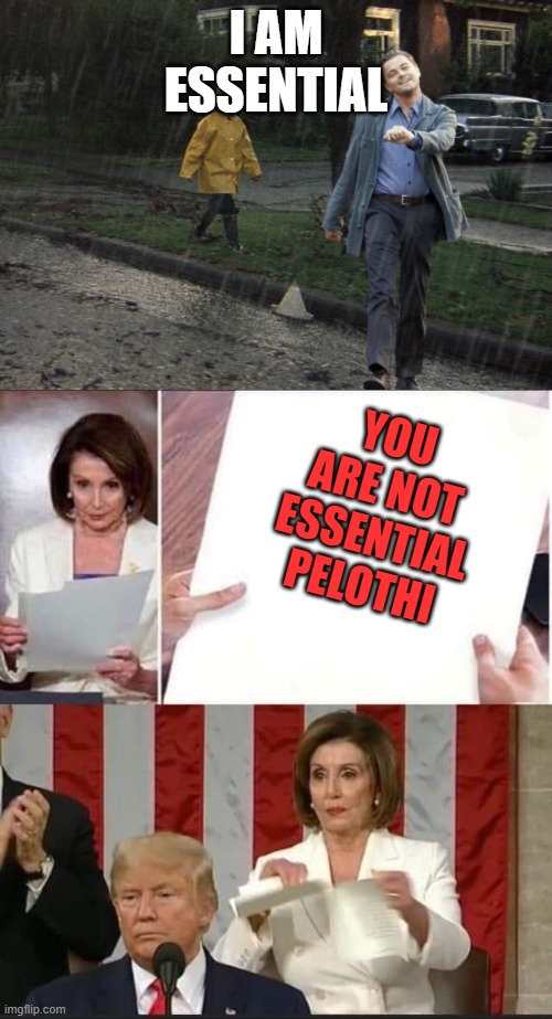 I AM ESSENTIAL; YOU ARE NOT ESSENTIAL PELOTHI | image tagged in leo takes a happy walk in derry maine,nancy pelosi tears speech | made w/ Imgflip meme maker