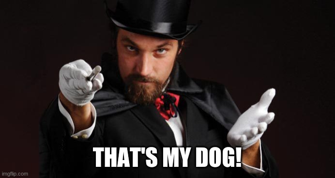 Mind reading magician | THAT'S MY DOG! | image tagged in mind reading magician | made w/ Imgflip meme maker
