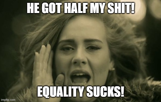 adele hello | HE GOT HALF MY SHIT! EQUALITY SUCKS! | image tagged in adele hello | made w/ Imgflip meme maker