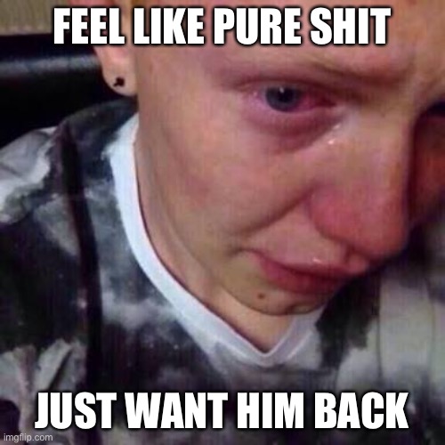 Feel like pure shit | FEEL LIKE PURE SHIT; JUST WANT HIM BACK | image tagged in feel like pure shit | made w/ Imgflip meme maker