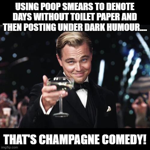 Leonardo DiCaprio Toast | USING POOP SMEARS TO DENOTE DAYS WITHOUT TOILET PAPER AND THEN POSTING UNDER DARK HUMOUR.... THAT'S CHAMPAGNE COMEDY! | image tagged in leonardo dicaprio toast | made w/ Imgflip meme maker