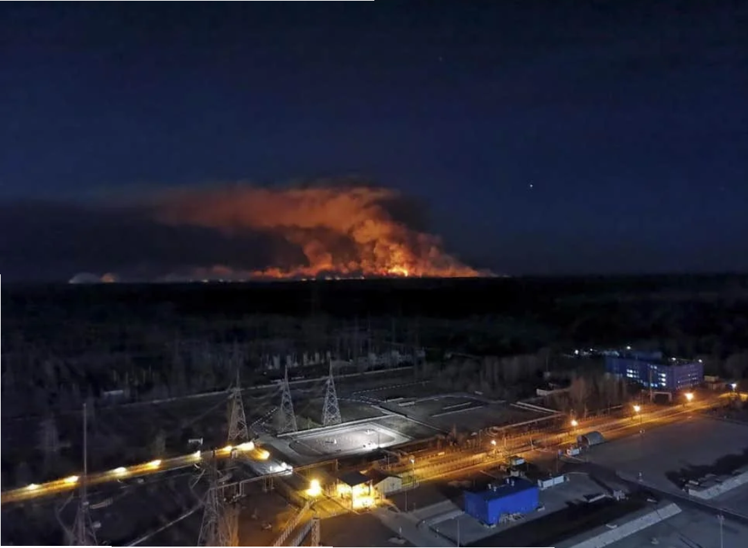 Cher wild Blank Meme Template