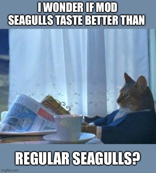 Cat newspaper | I WONDER IF MOD SEAGULLS TASTE BETTER THAN REGULAR SEAGULLS? | image tagged in cat newspaper | made w/ Imgflip meme maker