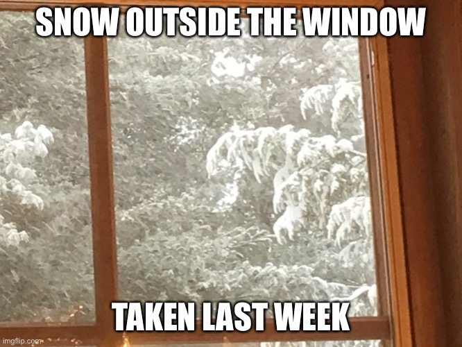 SNOW OUTSIDE THE WINDOW; TAKEN LAST WEEK | made w/ Imgflip meme maker