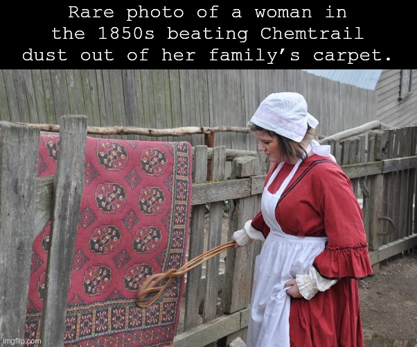Chemtrail dust | Rare photo of a woman in the 1850s beating Chemtrail dust out of her family’s carpet. | image tagged in chemtrails,conspiracy theory,meme,funny | made w/ Imgflip meme maker