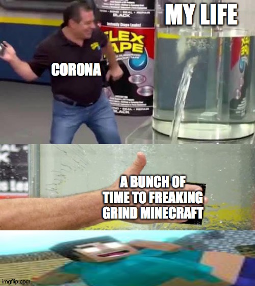 Minecraft 2020 | MY LIFE; CORONA; A BUNCH OF TIME TO FREAKING GRIND MINECRAFT | image tagged in flex tape,minecraft | made w/ Imgflip meme maker