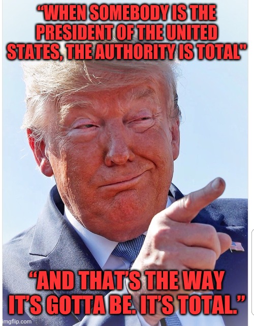 Well he is a total dickweed | “WHEN SOMEBODY IS THE PRESIDENT OF THE UNITED STATES, THE AUTHORITY IS TOTAL"; “AND THAT’S THE WAY IT’S GOTTA BE. IT’S TOTAL.” | image tagged in trump pointing | made w/ Imgflip meme maker