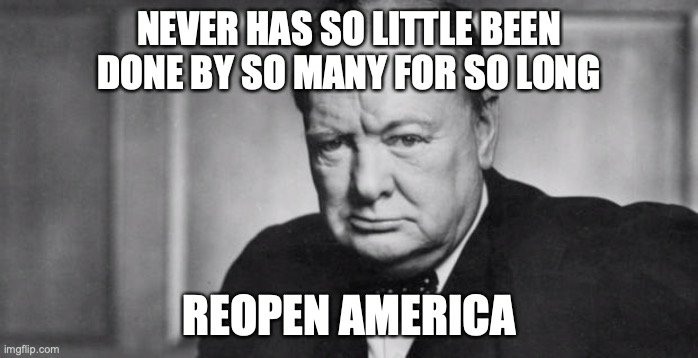 winston churchill | NEVER HAS SO LITTLE BEEN DONE BY SO MANY FOR SO LONG; REOPEN AMERICA | image tagged in winston churchill | made w/ Imgflip meme maker