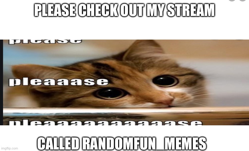 Stream begging | PLEASE CHECK OUT MY STREAM; CALLED RANDOMFUN_MEMES | image tagged in cats,please,begging | made w/ Imgflip meme maker