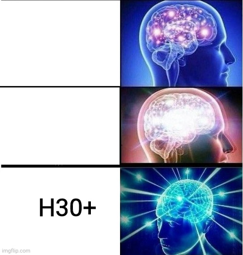 Expanding brain 3 panels | H30+ | image tagged in expanding brain 3 panels | made w/ Imgflip meme maker