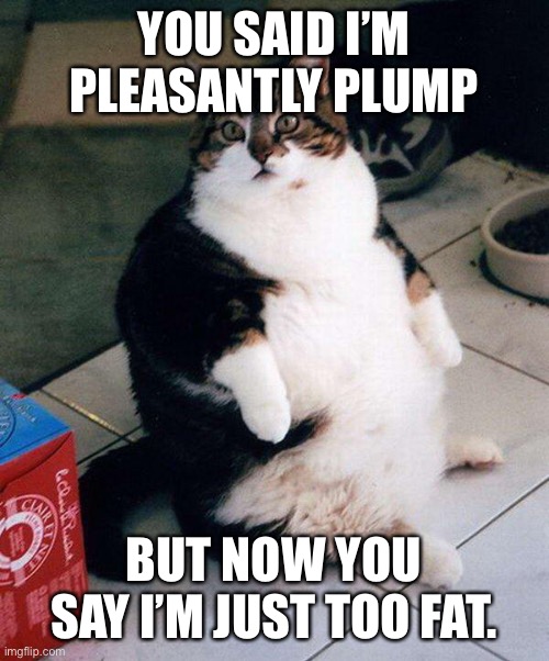 fat cat | YOU SAID I’M PLEASANTLY PLUMP; BUT NOW YOU SAY I’M JUST TOO FAT. | image tagged in fat cat | made w/ Imgflip meme maker