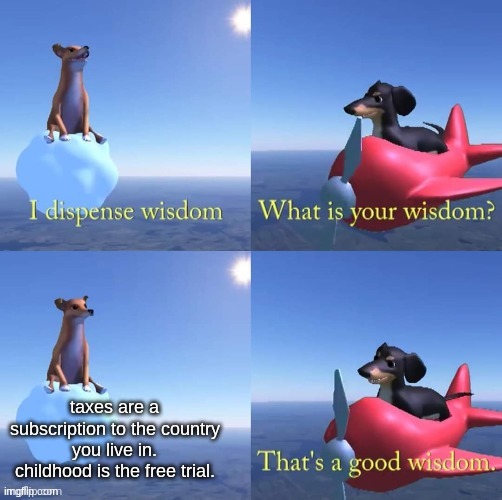 Wisdom dog | taxes are a subscription to the country you live in. childhood is the free trial. | image tagged in wisdom dog,dog | made w/ Imgflip meme maker
