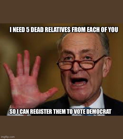 Chuck Schumer | I NEED 5 DEAD RELATIVES FROM EACH OF YOU; SO I CAN REGISTER THEM TO VOTE DEMOCRAT | image tagged in chuck schumer | made w/ Imgflip meme maker