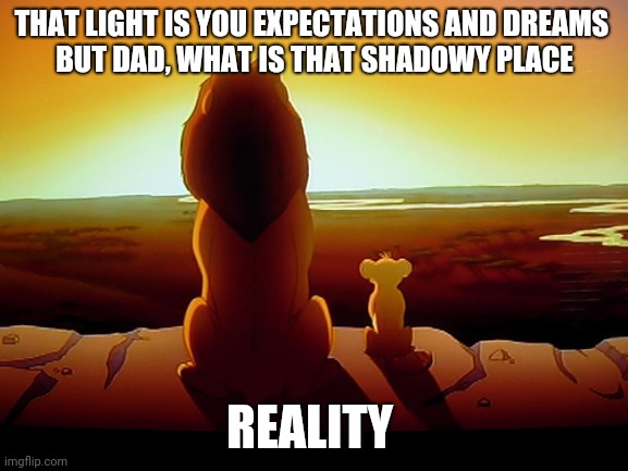 Lion King Meme | THAT LIGHT IS YOU EXPECTATIONS AND DREAMS 
BUT DAD, WHAT IS THAT SHADOWY PLACE; REALITY | image tagged in memes,lion king | made w/ Imgflip meme maker