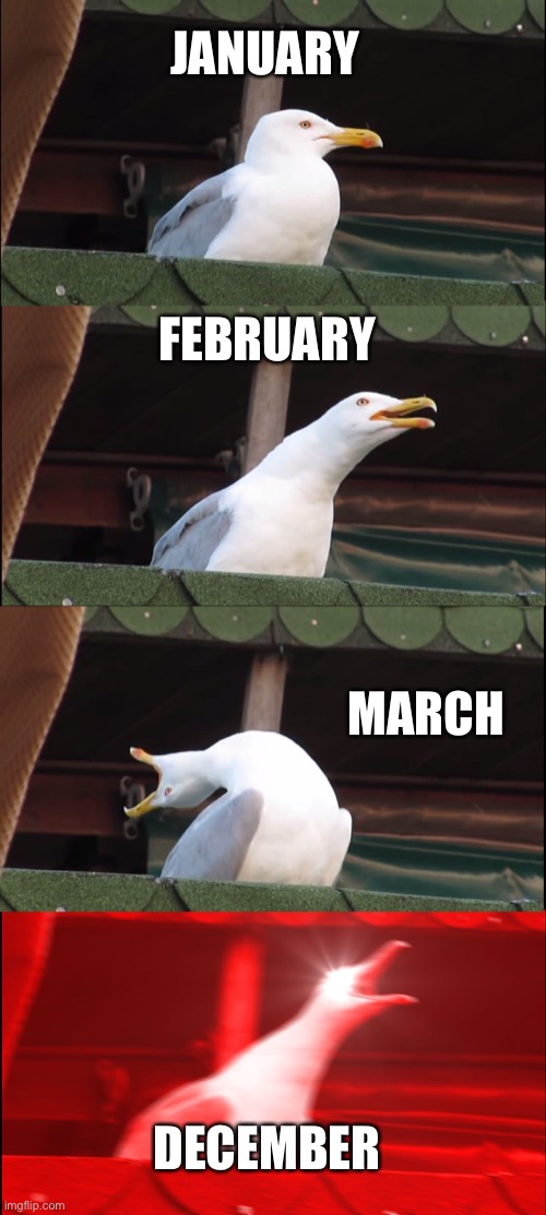 It only gets worse every day | JANUARY; FEBRUARY; MARCH; DECEMBER | image tagged in memes,inhaling seagull,2020 | made w/ Imgflip meme maker