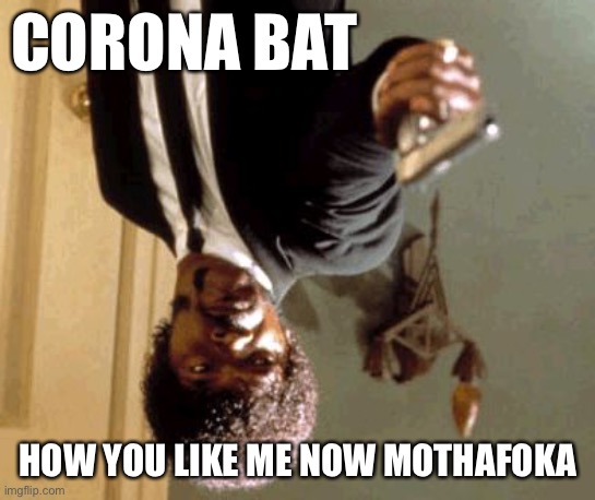 Say That Again I Dare You | CORONA BAT; HOW YOU LIKE ME NOW MOTHAFOKA | image tagged in memes,say that again i dare you | made w/ Imgflip meme maker