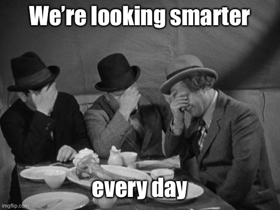 Stooges Facepalm | We’re looking smarter every day | image tagged in stooges facepalm | made w/ Imgflip meme maker