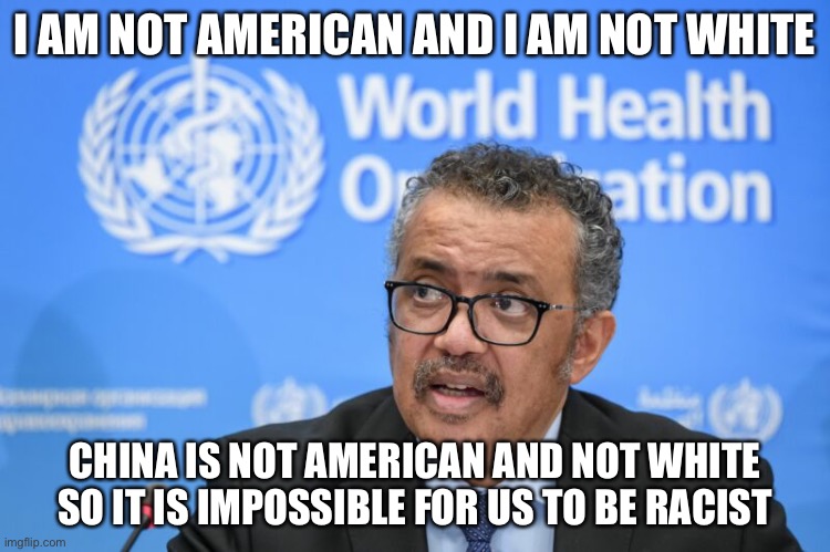 I AM NOT AMERICAN AND I AM NOT WHITE; CHINA IS NOT AMERICAN AND NOT WHITE SO IT IS IMPOSSIBLE FOR US TO BE RACIST | image tagged in world health organization,who let the dogs out | made w/ Imgflip meme maker