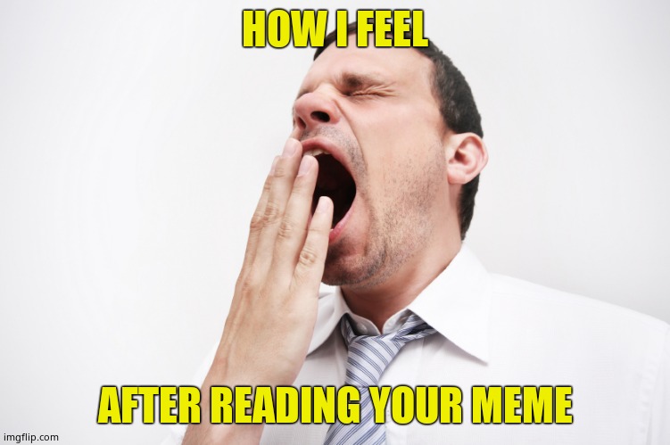 yawn | HOW I FEEL AFTER READING YOUR MEME | image tagged in yawn | made w/ Imgflip meme maker