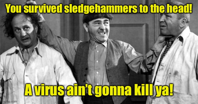 Three Stooges | You survived sledgehammers to the head! A virus ain’t gonna kill ya! | image tagged in three stooges | made w/ Imgflip meme maker