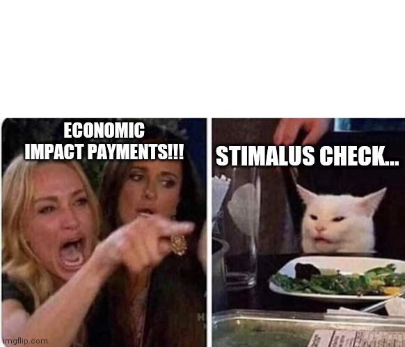 Lady screams at cat | ECONOMIC IMPACT PAYMENTS!!! STIMALUS CHECK... | image tagged in lady screams at cat | made w/ Imgflip meme maker
