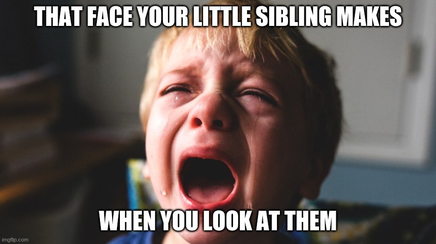 so true memes | THAT FACE YOUR LITTLE SIBLING MAKES; WHEN YOU LOOK AT THEM | image tagged in so true memes | made w/ Imgflip meme maker