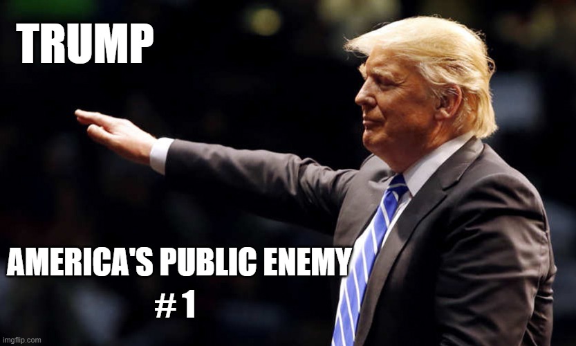 Totalitarian Trump | TRUMP; AMERICA'S PUBLIC ENEMY; # 1 | image tagged in totalitarian trump | made w/ Imgflip meme maker