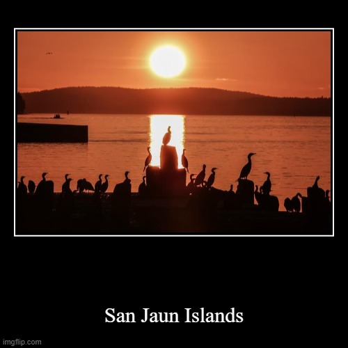 San Juan Islands | image tagged in puget sound,sunset,sea lion,salmon | made w/ Imgflip demotivational maker