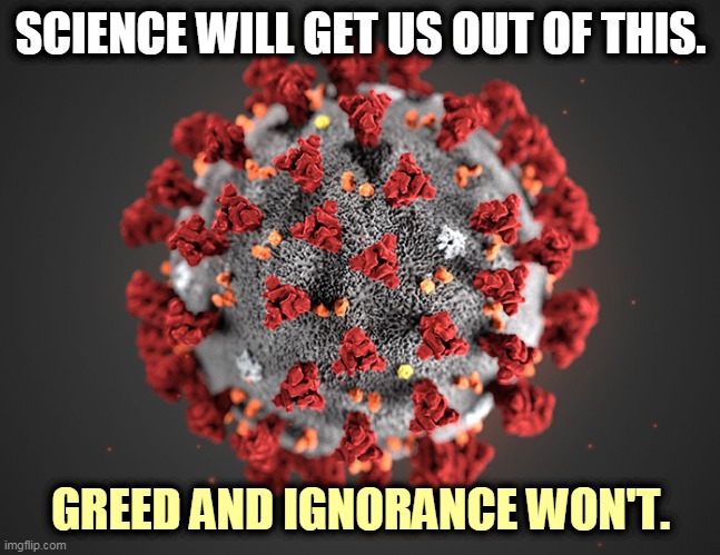 Lay off Fauci. He's our best hope. | SCIENCE WILL GET US OUT OF THIS. GREED AND IGNORANCE WON'T. | image tagged in coronavirus,covid-19,science,greed,ignorance | made w/ Imgflip meme maker