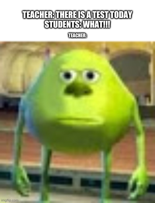 Sully Wazowski | TEACHER: THERE IS A TEST TODAY
STUDENTS: WHAT!!! TEACHER: | image tagged in sully wazowski | made w/ Imgflip meme maker
